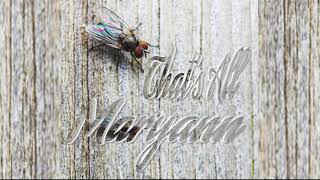 That's All by Maryann